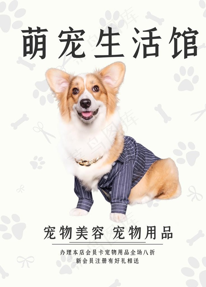 狗粮海报图片(3543X4724(DPI:150))psd模版下载