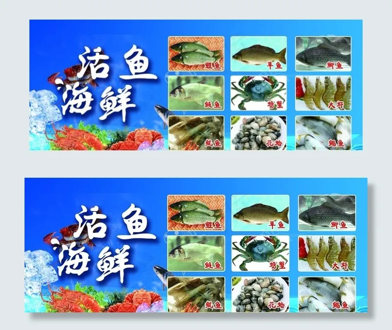 鲜活鱼图片