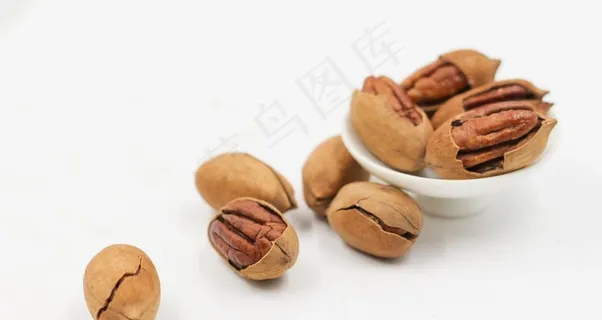 碧根果摄影美图图片 碧根果摄影美图图片