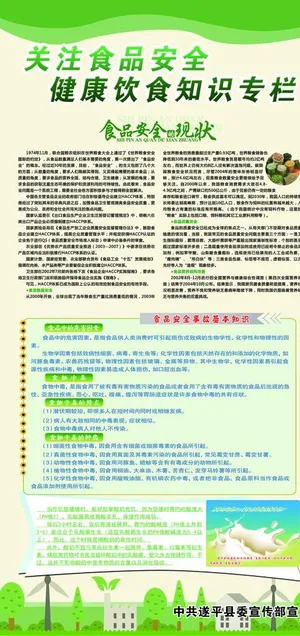 关注食品安全 健康饮食知识宣传图片