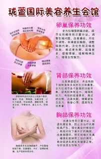 美容海报 卵巢保养 肾部保养图片 美容海报 卵巢保养 肾部保养图片