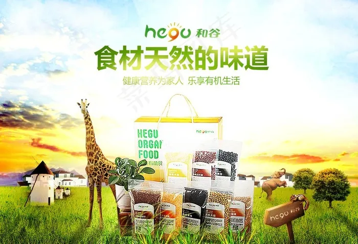 食品/保健品海报banner图片(1323X945(DPI:96))psd模版下载