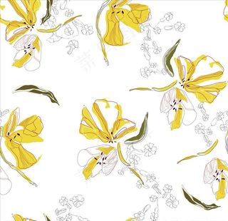 植物花朵花卉四方连续底纹图片