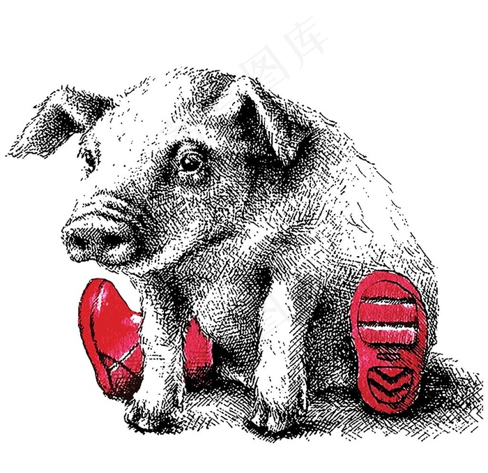 素描猪图片(5969X5969(DPI:762))psd模版下载
