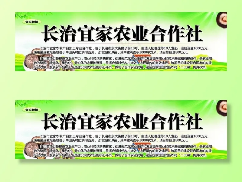 菌类种植基地图片