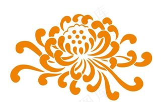 矢量菊花图片