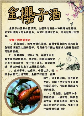 金樱子酒图片