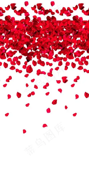 花瓣图片 花瓣图片