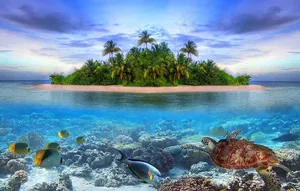 海景图图片
