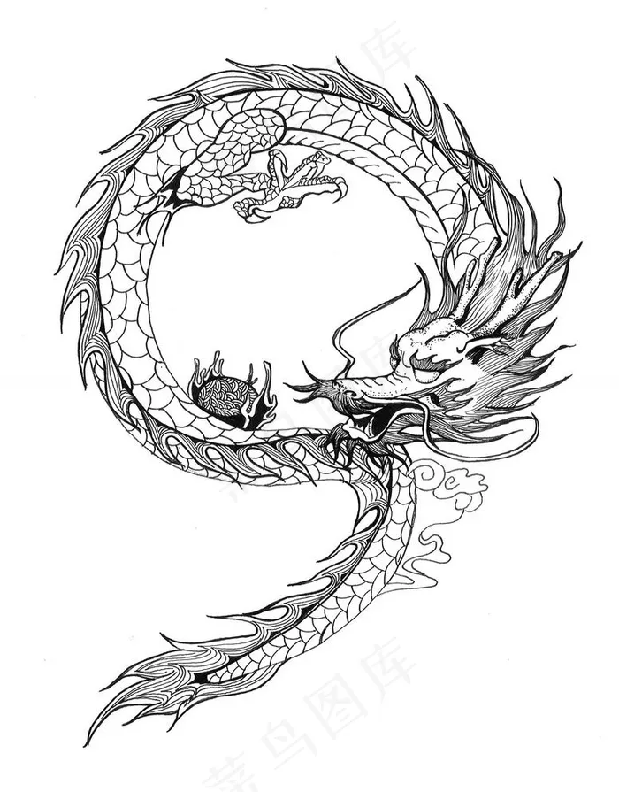 龙图片