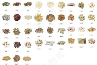 中药材饮片图片