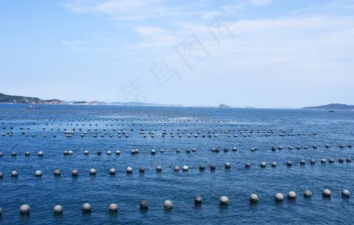 大海养殖图片