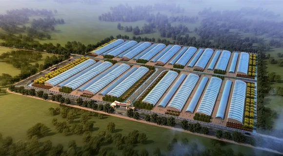 蔬菜大棚园区图片 蔬菜大棚园区图片