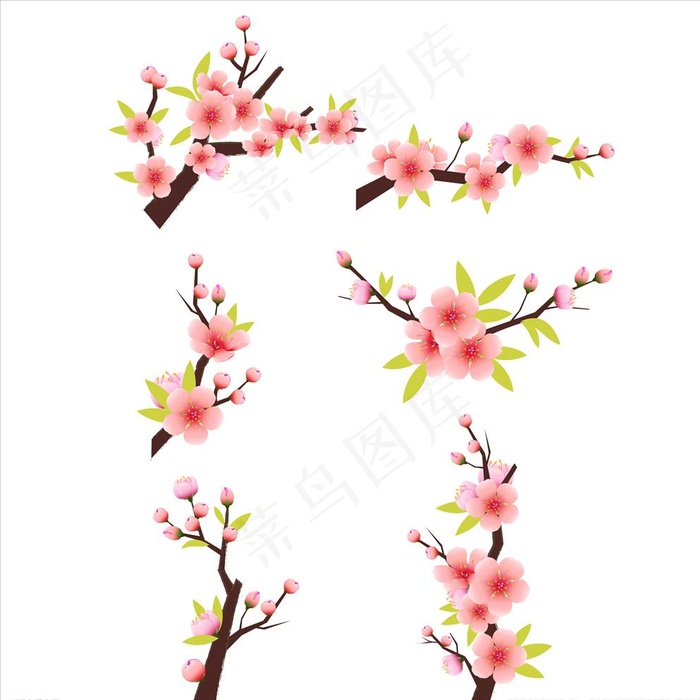 矢量桃花图片psd模版下载