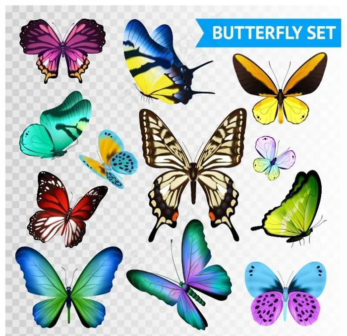 蝴蝶图片ai矢量模版下载