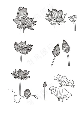 黑色荷花线条素材ai背景图片