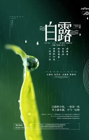 白露图片