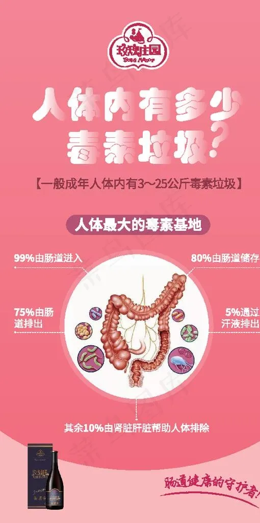 肠道排毒海报图片eps,ai矢量模版下载