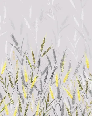 大牌定位花图片