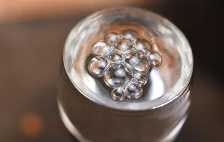 红高粱白酒酒花图片