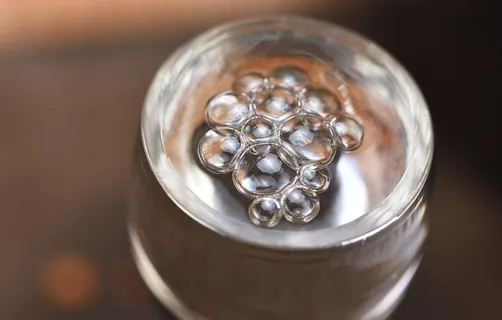 红高粱白酒酒花图片 红高粱白酒酒花图片