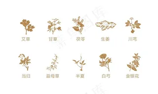 中草药 植物图片