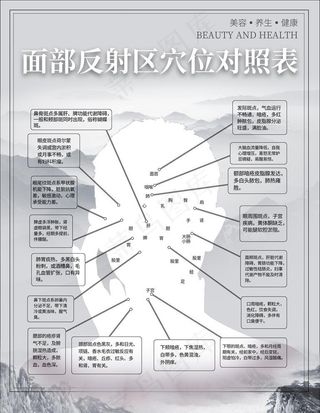 反射区对照表图片