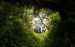 
                    薄竹山之旅图片
            