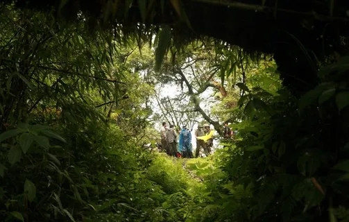 薄竹山之旅图片
             
                    薄竹山之旅图片