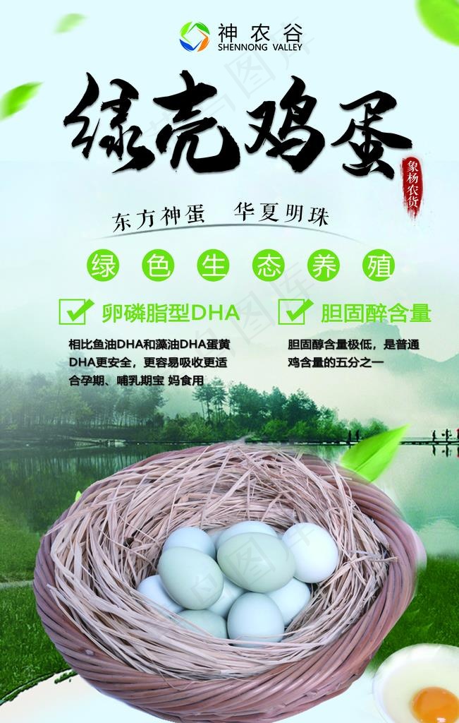 绿壳鸡蛋图片
