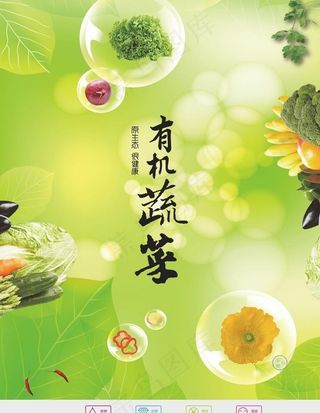 有机 蔬菜图片