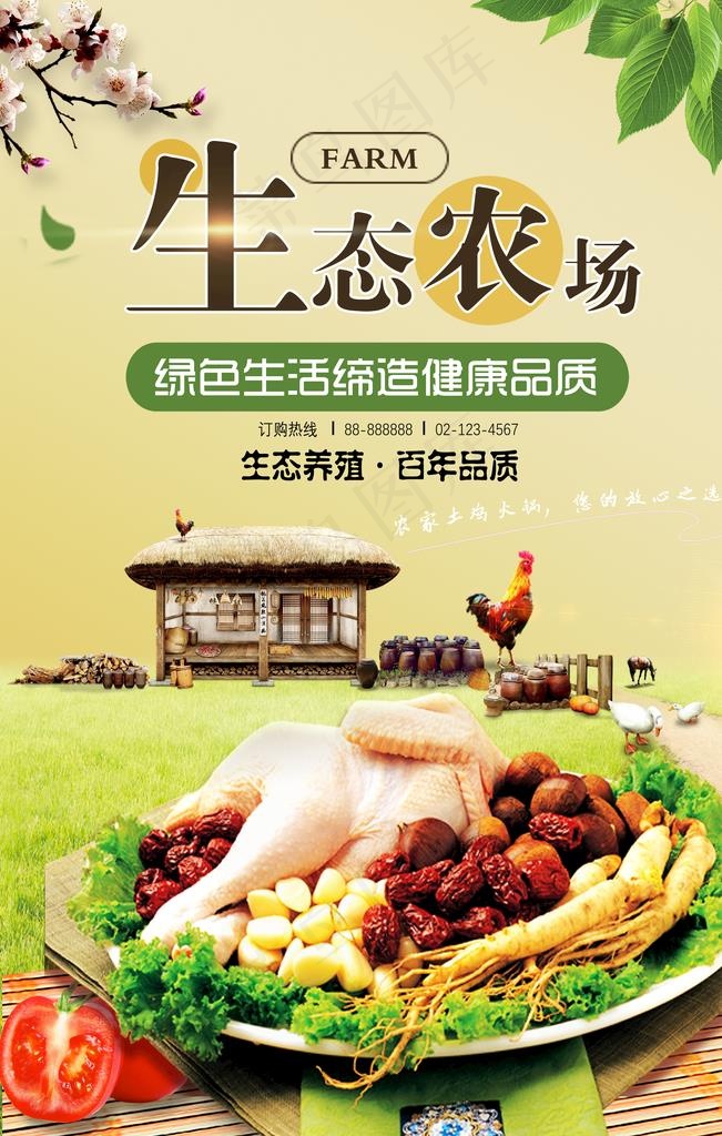 土鸡图片