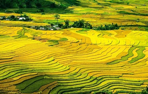 梯田图片 梯田图片