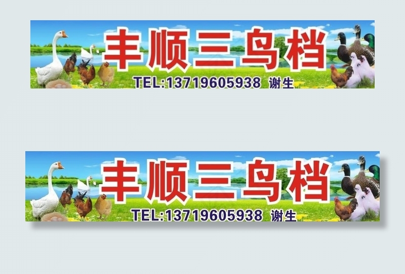 丰顺三鸟档图片(3350X750)cdr矢量模版下载
