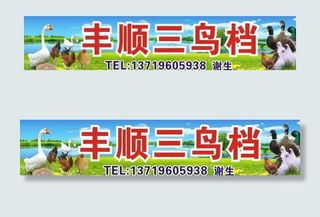 丰顺三鸟档图片