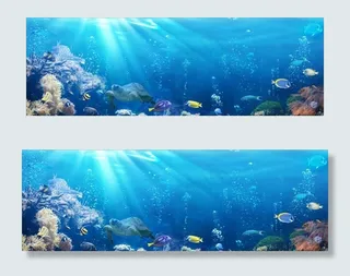 海鲜池背景图图片