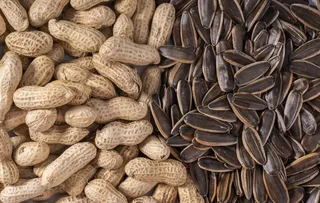 瓜子葵花籽炒货干货图片