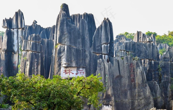 石林图片