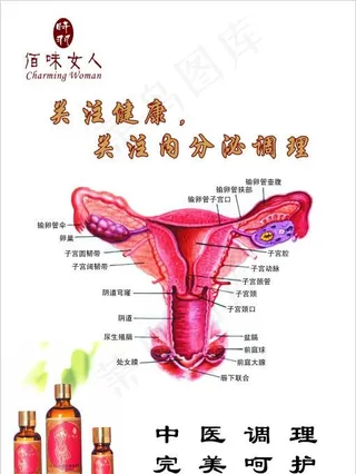 内分泌养护图片