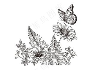 蝴蝶和花线条图片