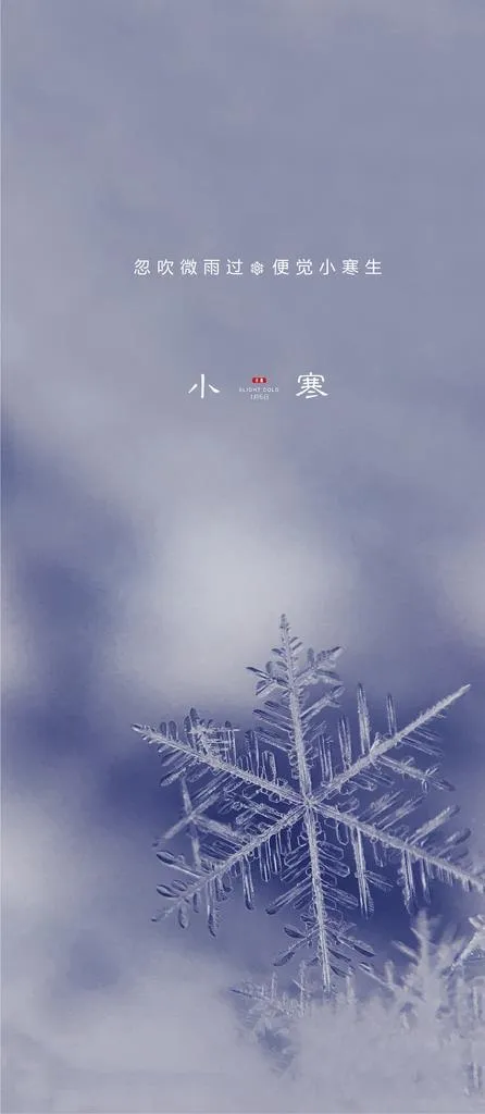 地产质感小寒节气海报图片psd模版下载