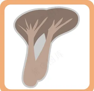 餐饮食材图标标识图片