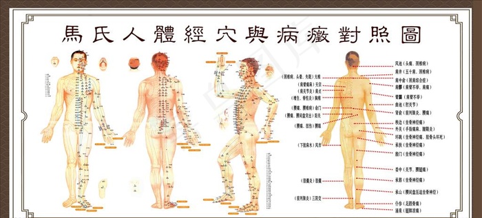 人体穴位图图片
