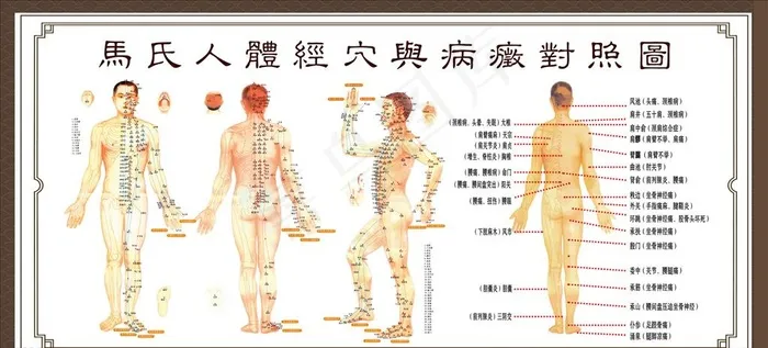 人体穴位图图片(10983X5314(DPI:150))psd模版下载