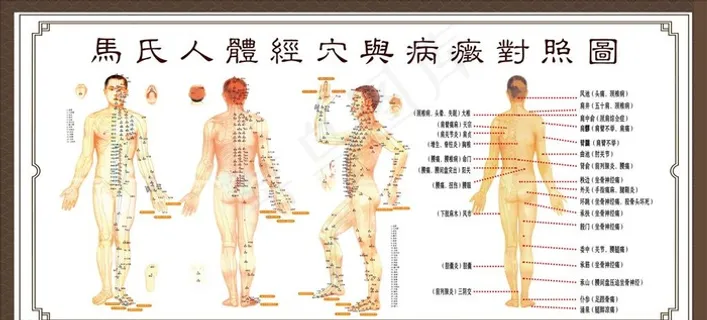人体穴位图图片