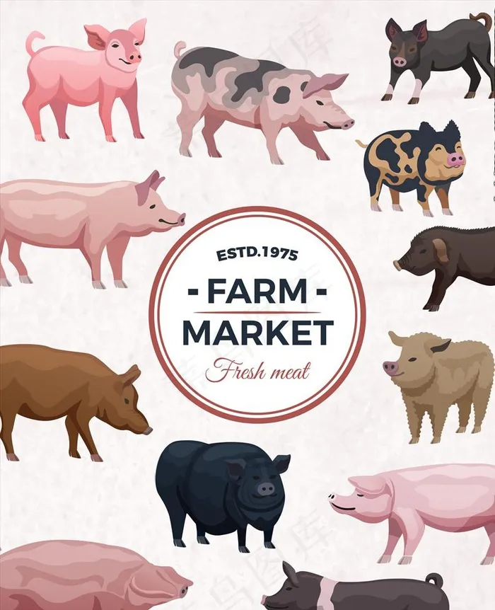 卡通猪图片ai矢量模版下载