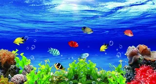 蓝色海底世界水底背景图片