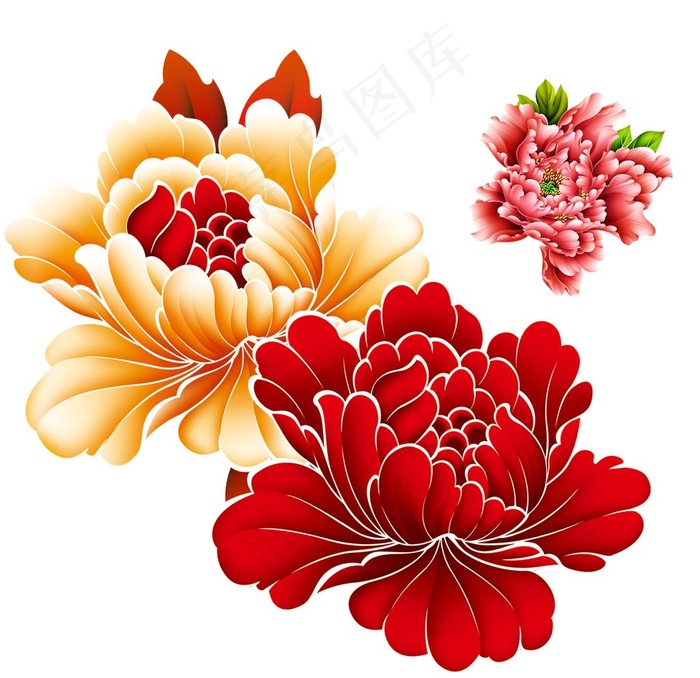 牡丹花图片psd模版下载