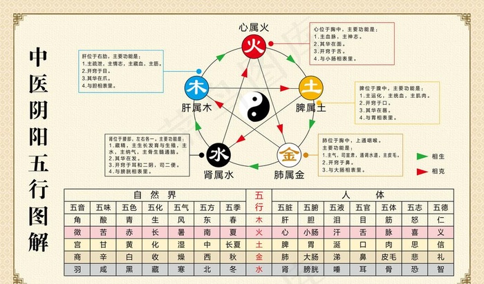 中医阴阳五行图解图片