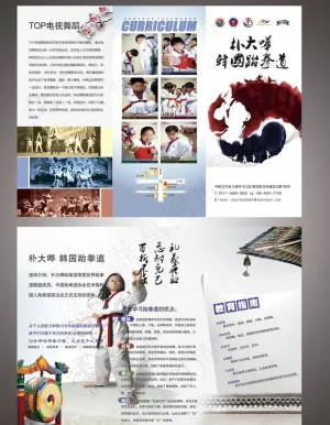 跆拳道三折页图片
